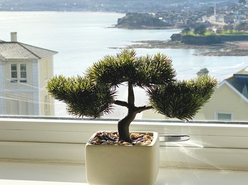 Sea View Apartment, 7 Ellington Court, Torquay - beautiful English Riviera sea views