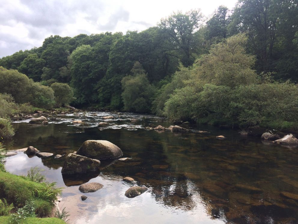 River on Dartmoor