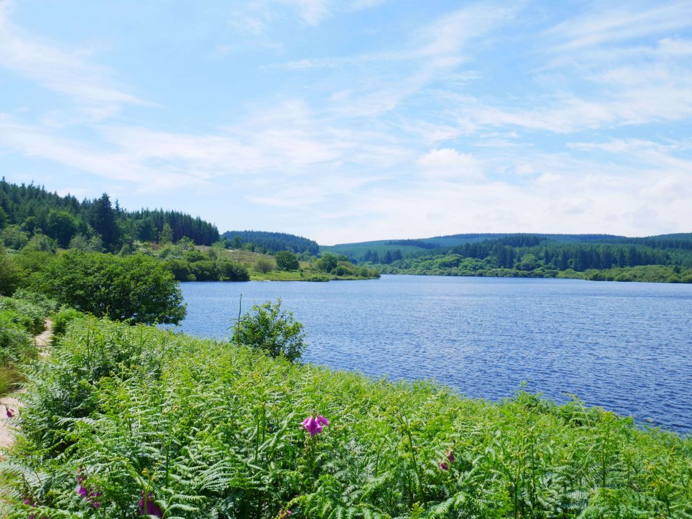 Fernworthy Reservoir