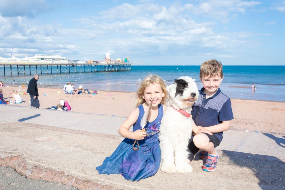 Dog friendly Breaks in Torquay
