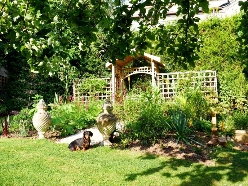 Dog Friendly Accommodation