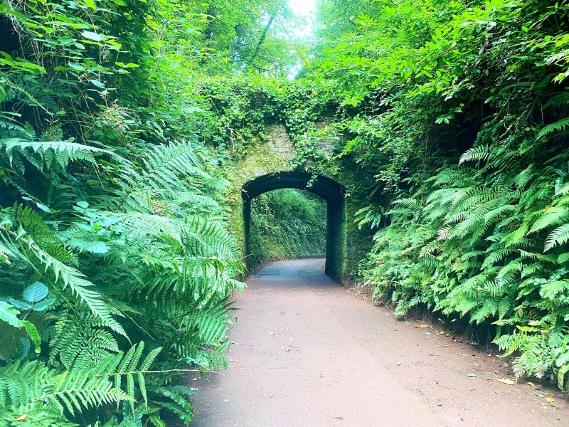 Cockington Country Park Carriage Way